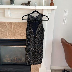 Rare Sachin + Babi Embellished Sheer Dress